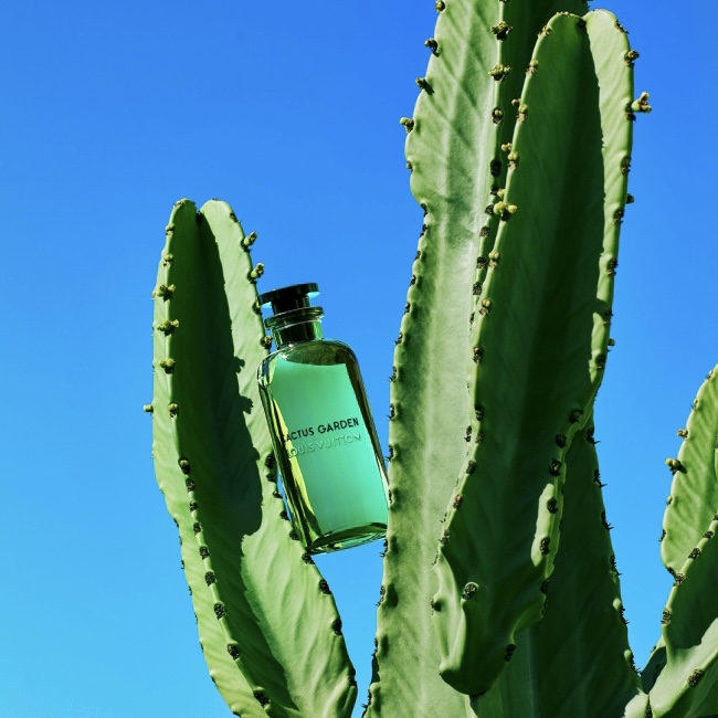 Nước hoa unisex Louis Vuitton Cactus Garden