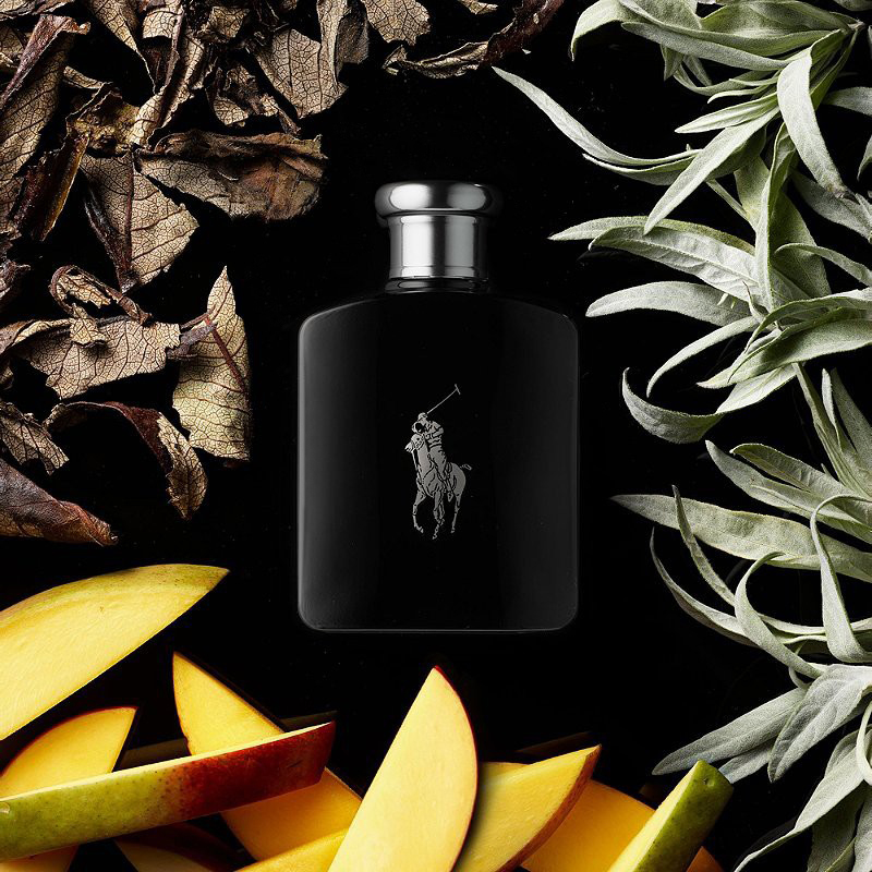 Nước hoa Ralph Lauren Polo Black EDT | Xixon Perfume