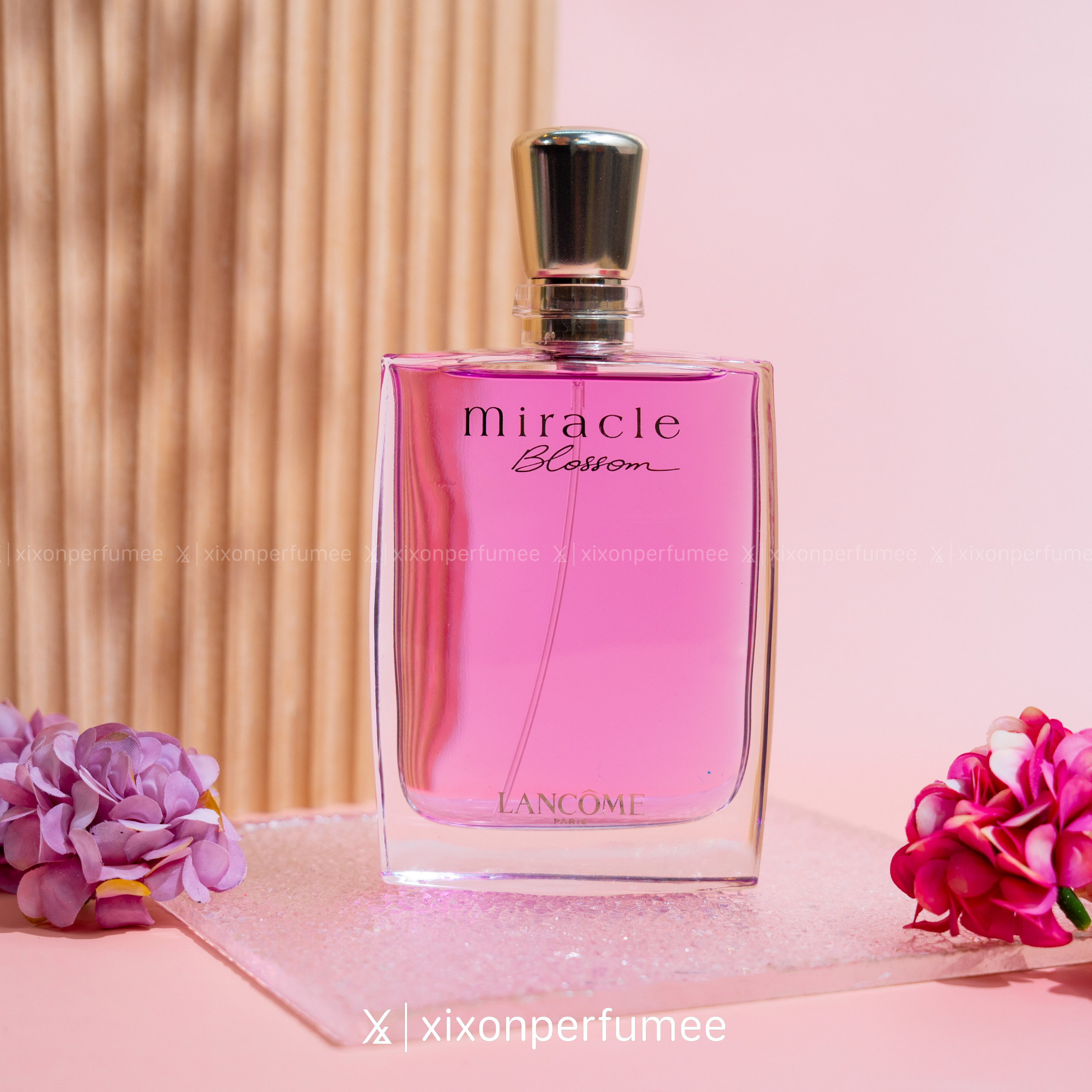 XIXON 0911-logo trang-28