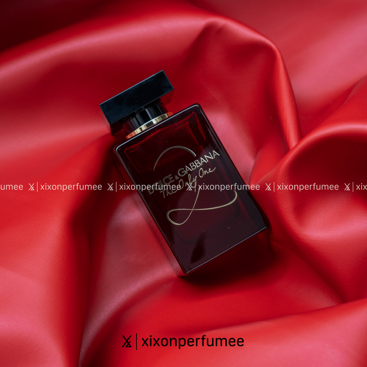 XIXON_4_LOGOTRANG-202