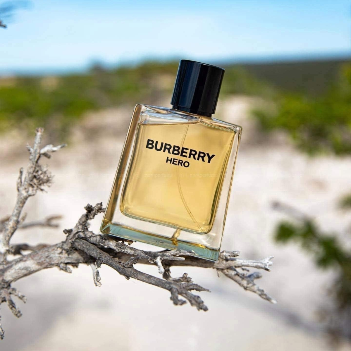Nước hoa nam Burberry Hero EDT | Xixon Perfume
