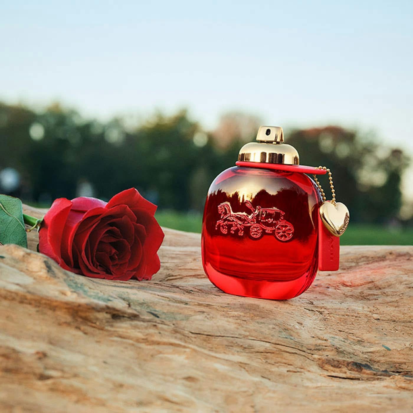 Nuoc-hoa-Coach-Love-EDP-2